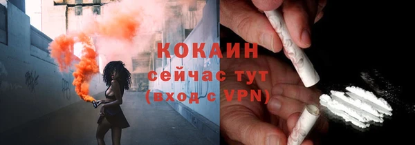 молекула духа Алексин